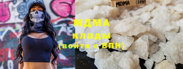 индика Богданович