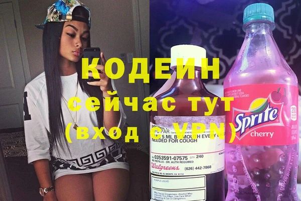 индика Богданович