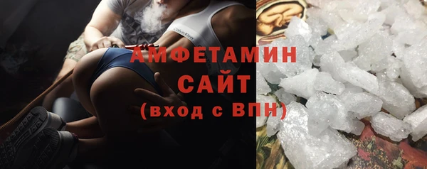 индика Богданович