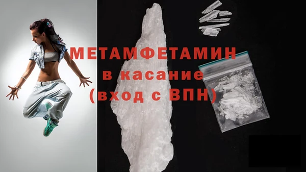 индика Богданович