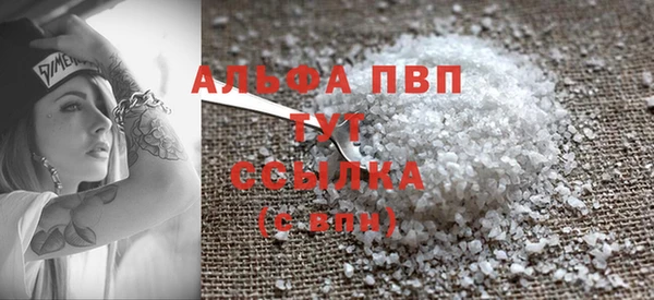 индика Богданович