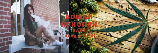 индика Богданович