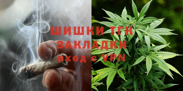 индика Богданович