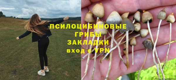 мефедрон Богородицк