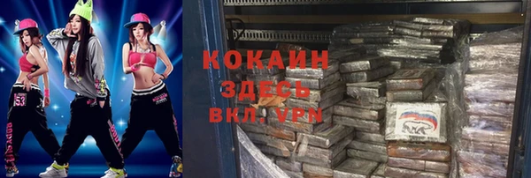 индика Богданович