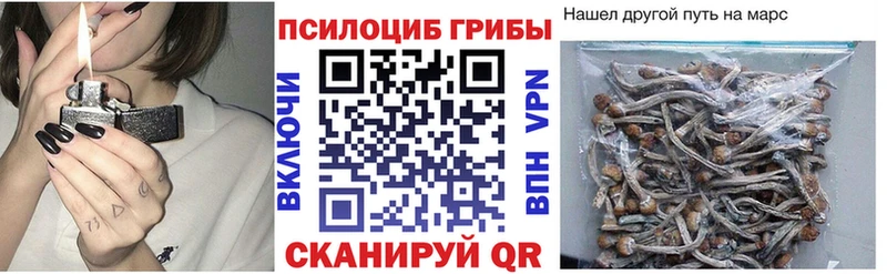 Галлюциногенные грибы ЛСД хочу Берёзовка